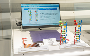 日本人に特化したゲノム解析ツール　ジャポニカアレイ